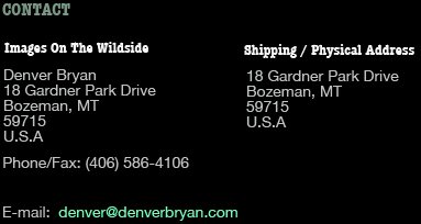 Contact Information