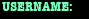 Username